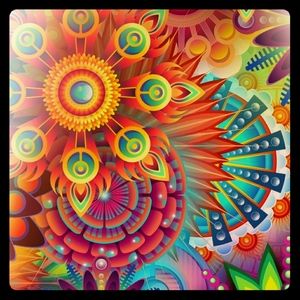 Meet your Posher, Kerry